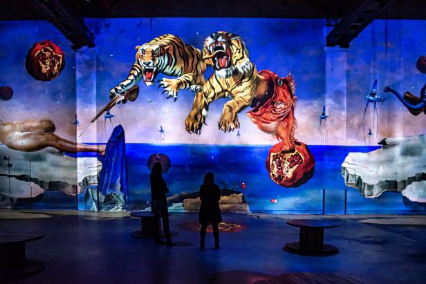 Zwei Personen betrachten eine Projektion mit Tigern, Fischen und Granatäpfeln in einem Ausstellungsraum.