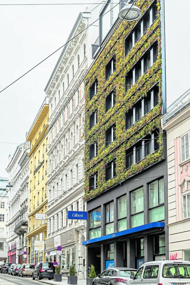 Neues Hotel in Wien: Der grüne Gilbert vom Spittelberg