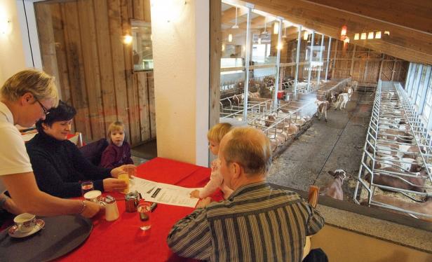 Top5 Essen bei Tieren