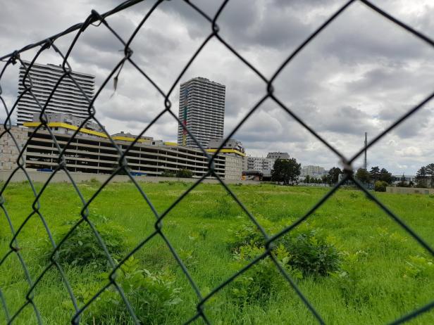 Blick durch einen Maschendrahtzaun auf eine grüne Wiese und Hochhäuser.