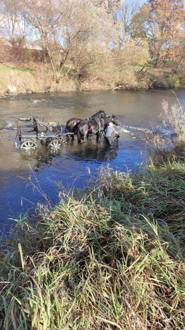 Zwei Pferde ziehen eine Kutsche durch einen Fluss.