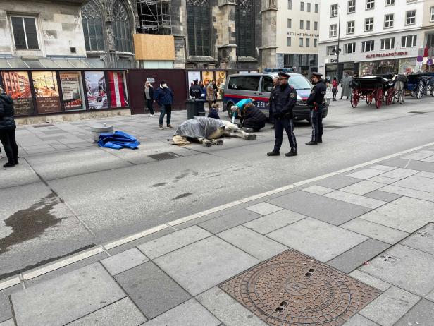 Wieder Zwischenfall mit Fiakerpferd: Stute sackte in Wien zusammen