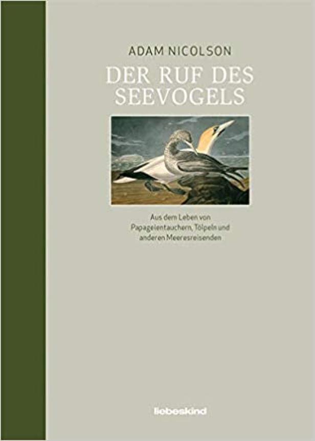 Das Cover des Buches „Der Ruf des Seevogels“ von Adam Nicolson mit einer Abbildung von Seevögeln.