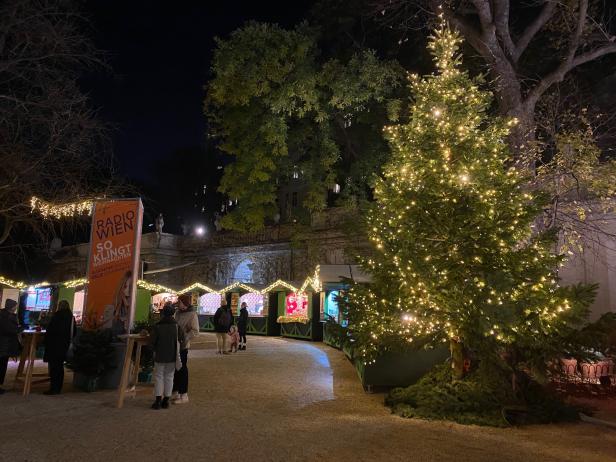 Ein beleuchteter Weihnachtsbaum auf einem Wiener Weihnachtsmarkt bei Nacht.