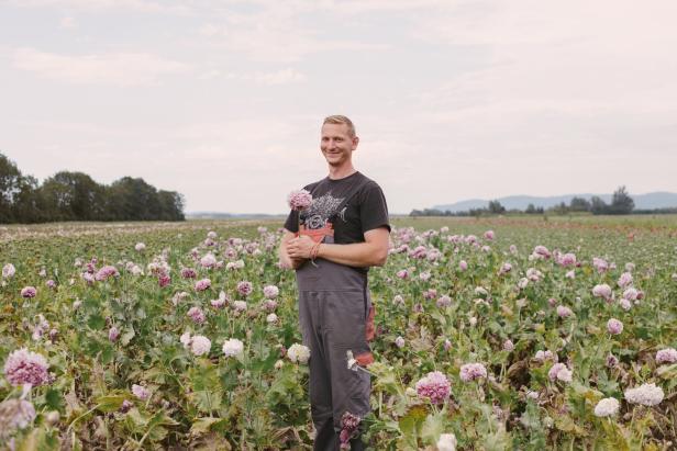 Ein Mann steht auf einem Feld voller rosa Mohnblumen und hält eine Blüte in der Hand.