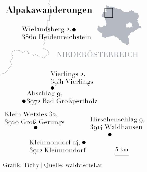 Eine Karte von Niederösterreich mit Standorten für Alpakawanderungen.