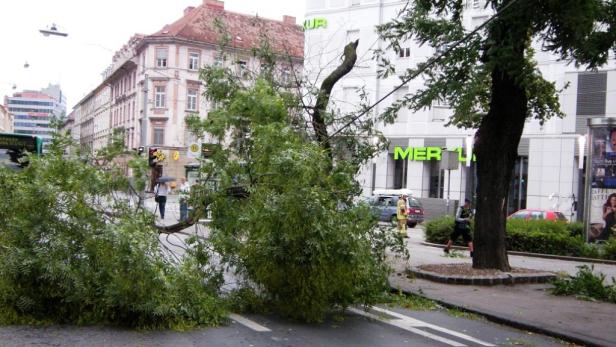 Hagel: 2,7 Millionen Euro Schaden für Bauern