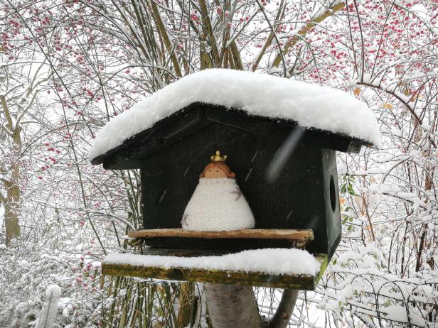 Eine gestrickte Figur mit Krone sitzt in einem verschneiten Vogelhaus.