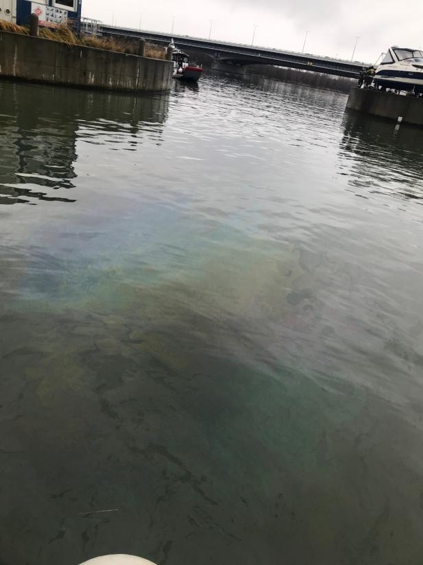 Wasserpolizei ermittelt wegen Ölfilms auf Donaugewässer