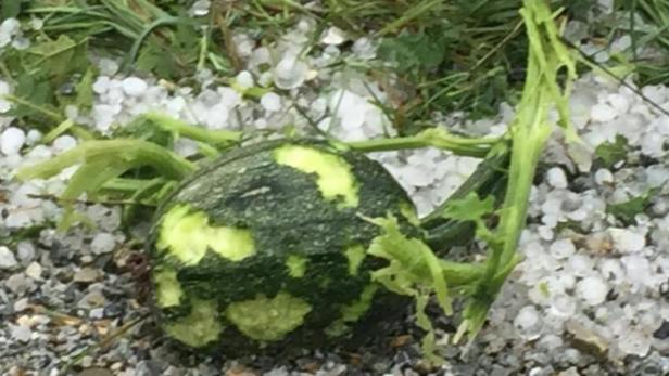 Landwirtschaftskammer erwartet stark unterdurchschnittliche Ernte