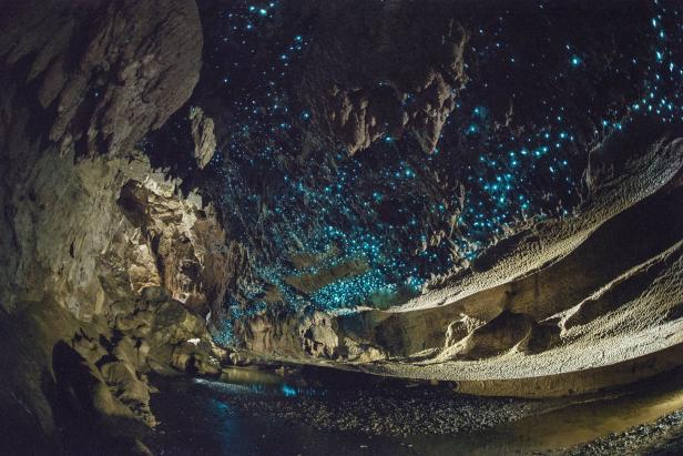 Eine Höhle, deren Decke von unzähligen blauen Glühwürmchen erhellt wird.