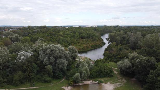 SPÖ-Minister Hanke gegen Gewessler: Rot-grüner Schlagabtausch um Lobau-Tunnel