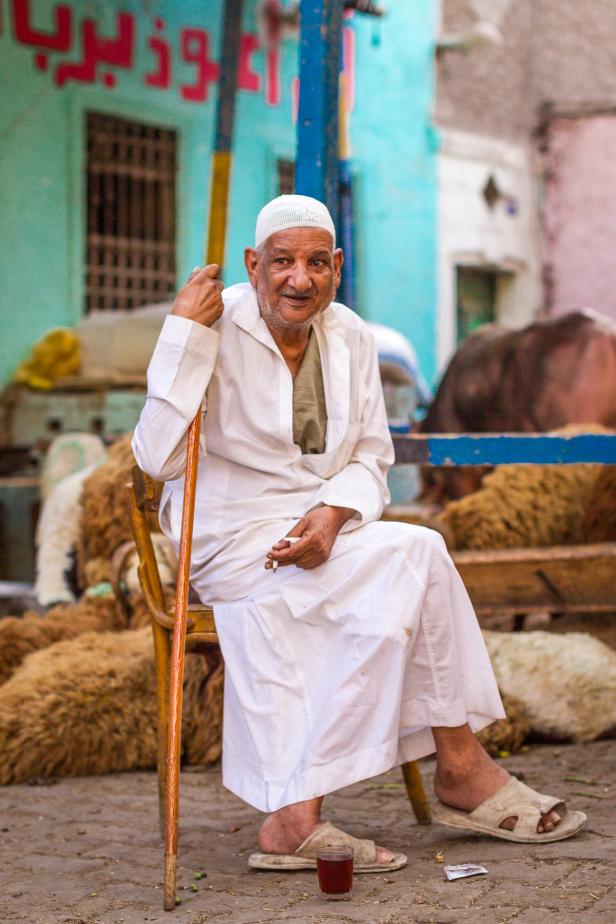 Ein älterer Mann mit Stock sitzt vor einer Herde Schafe.