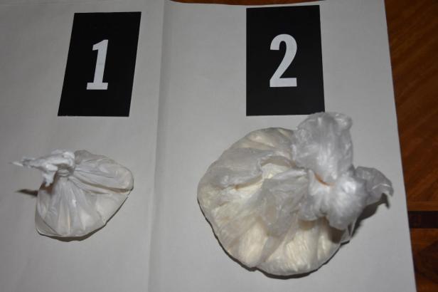 Spürhund "Domina" fand 480 Gramm Kokain in Wohnhaus