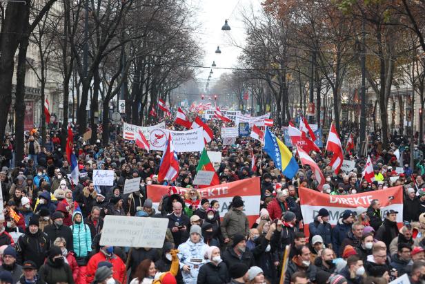 Ludwig zu Wien-Demo: "Sehe große Gefahr"