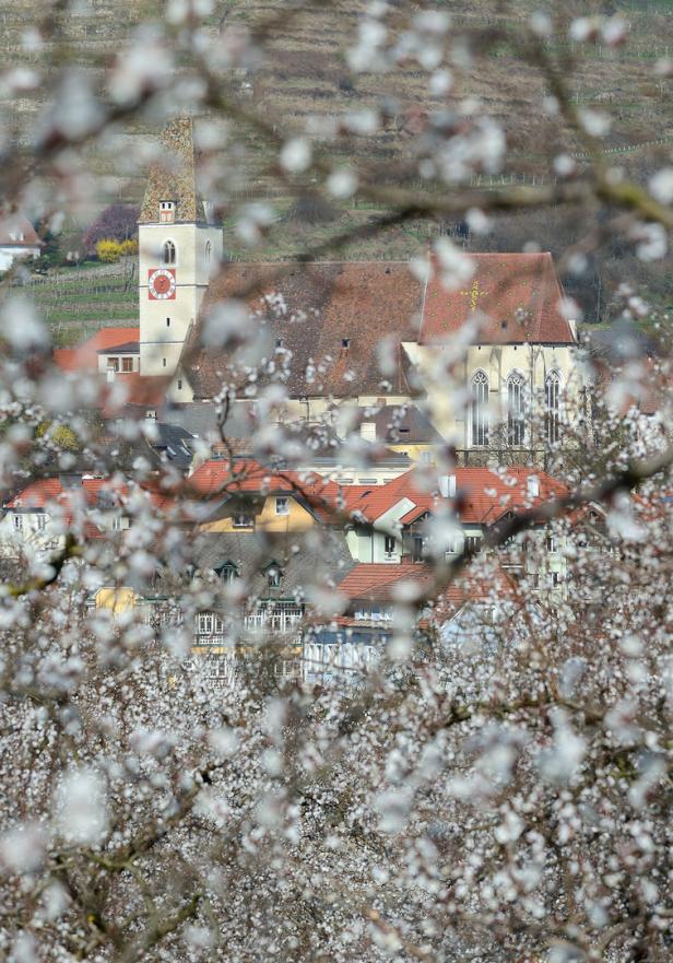 Neuer Kalender zeigt Naturlandschaften der Wachau