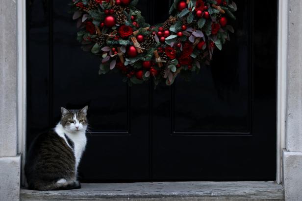 Eine Katze sitzt vor einer schwarzen Tür mit einem Weihnachtskranz.