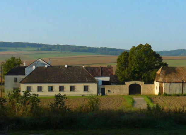 Neuer Therapieort im Weinviertel für Menschen mit Schädel-Hirn-Trauma