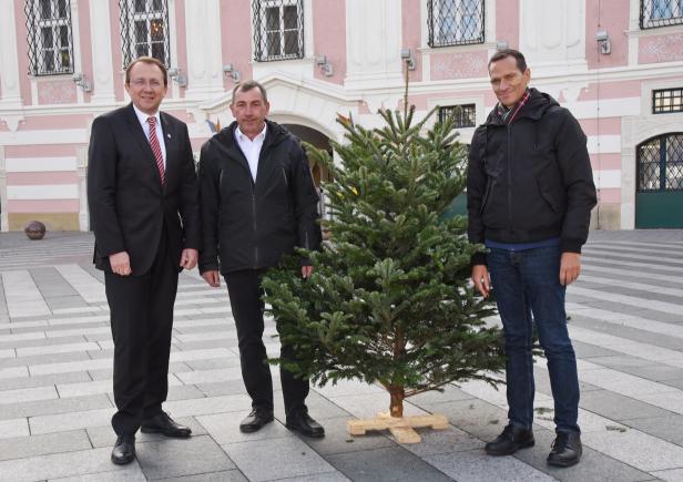 Christbaumbauer macht Weihnachten für alle in St. Pölten möglich