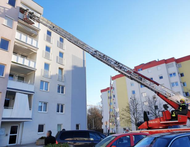 Niederösterreich: Gelber Wellensittich von Feuerwehr gerettet