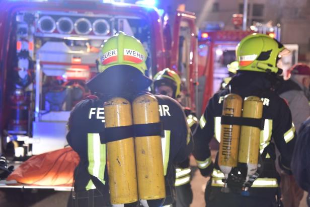 Feuerwehr rettete Katzen bei Wohnungsbrand