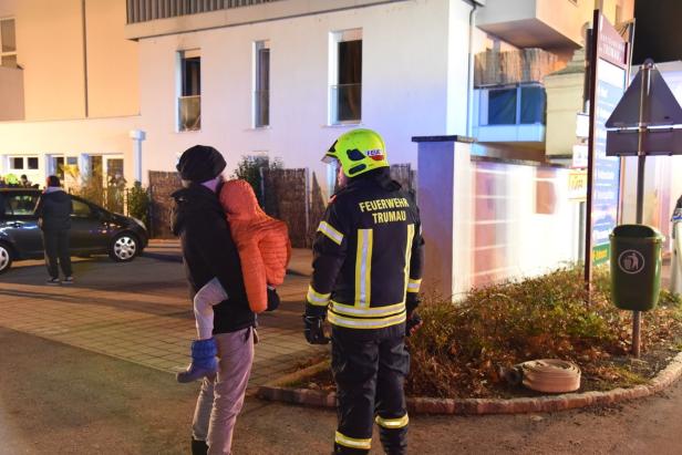 Feuerwehr rettete Katzen bei Wohnungsbrand