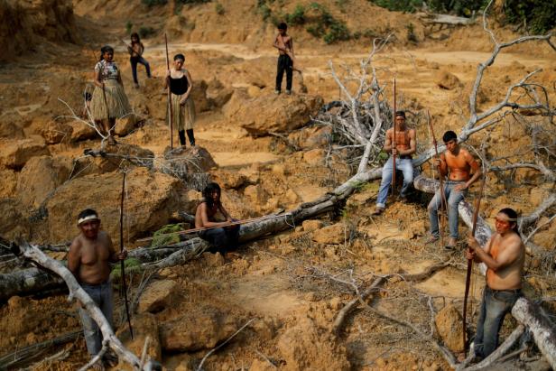 Abholzung des Amazonas in Brasilien auf Rekordniveau