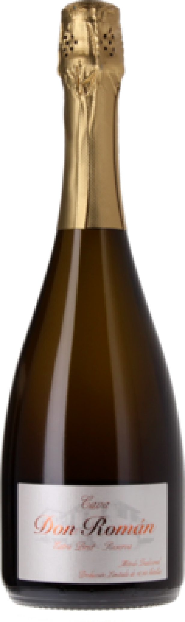 Eine Flasche Cava Don Román Sekt mit goldener Folie am Flaschenhals.