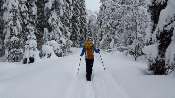 Lust auf Österreich_Wanderstöcke_Winterwandern