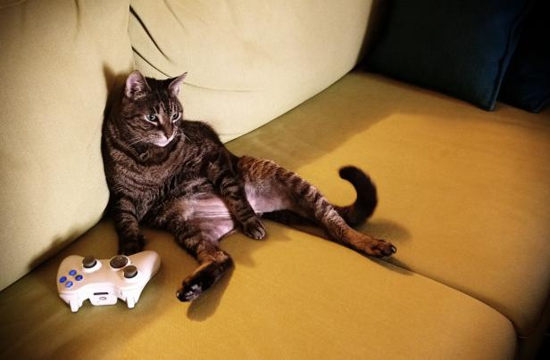 Eine getigerte Katze liegt mit einem Gamecontroller auf einem gelben Sofa.
