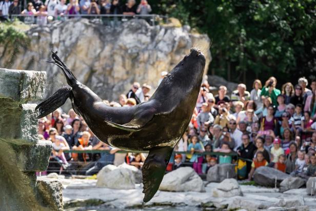 Todesfälle Schönbrunner Zoo 2021: Verdiente Plätze in der Ahnengalerie