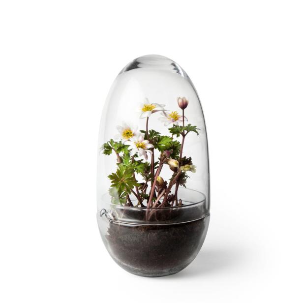 Interiortrend Flaschengarten: Das Biotop im Glas