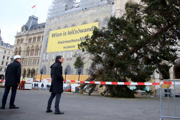 Der Weihnachtsbaum am Rathausplatz ist Geschichte