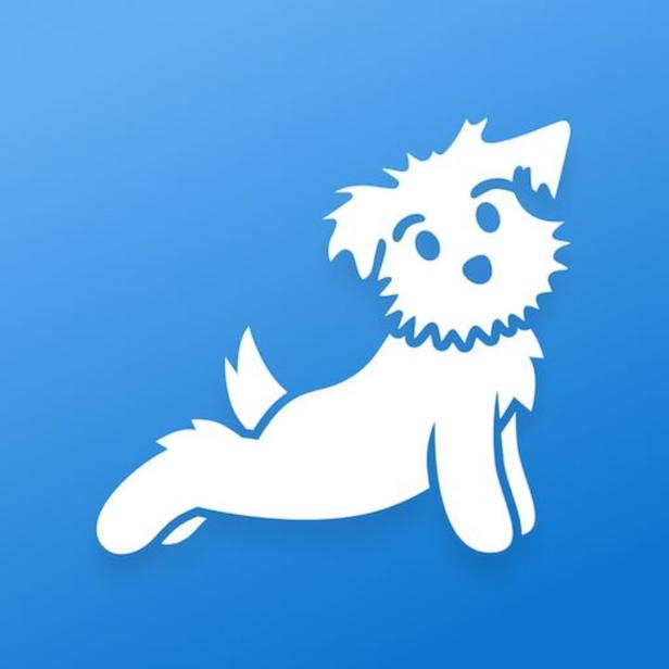Ein stilisierter, weißer Hund auf blauem Hintergrund macht eine Yoga-Pose.