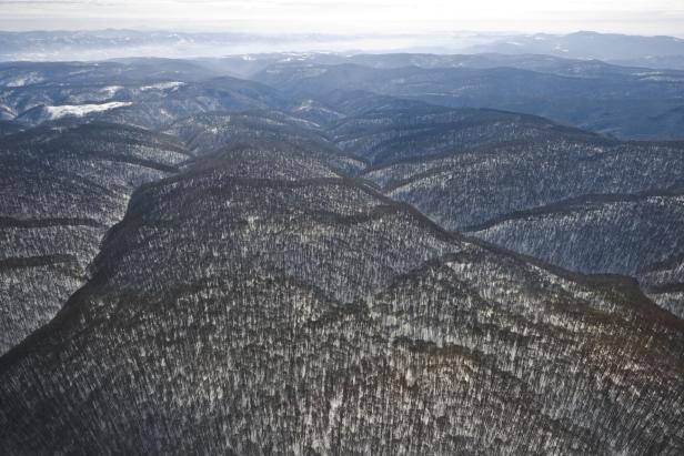 Luftaufnahme einer bewaldeten Hügellandschaft im Winter.