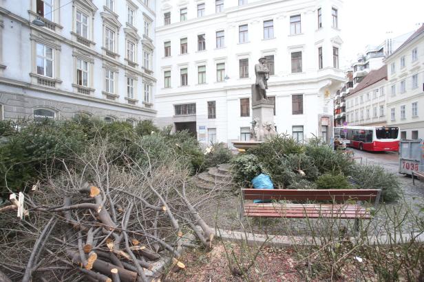 Die letzten Bäume beim U-Bahn-Bau sind gefallen: Das Ende einer Debatte