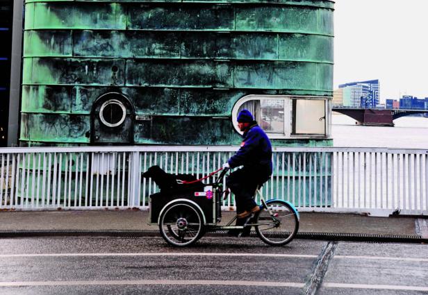 Ein Mann fährt mit einem Lastenfahrrad und einem Hund über eine Brücke.