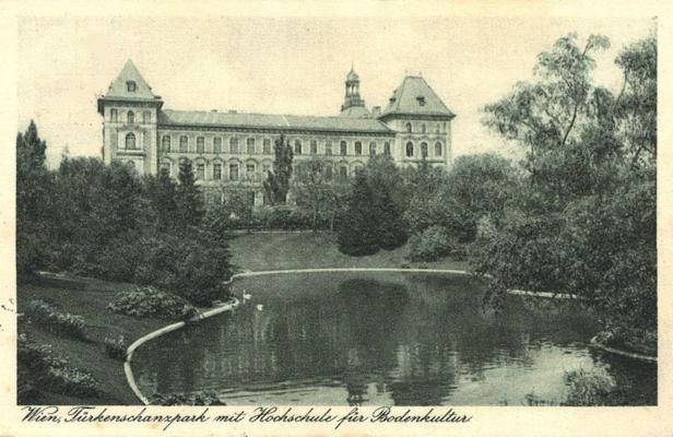 Exklusiv und begehrt: Wohnen an der Wiener Countryside