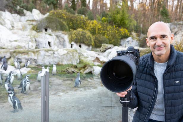 Ein Fotograf mit einer Nikon-Kamera fotografiert Pinguine im Zoo.