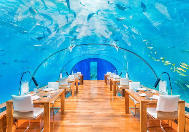 Ein Unterwasserrestaurant mit Tischen und vielen Fischen über den Gästen.