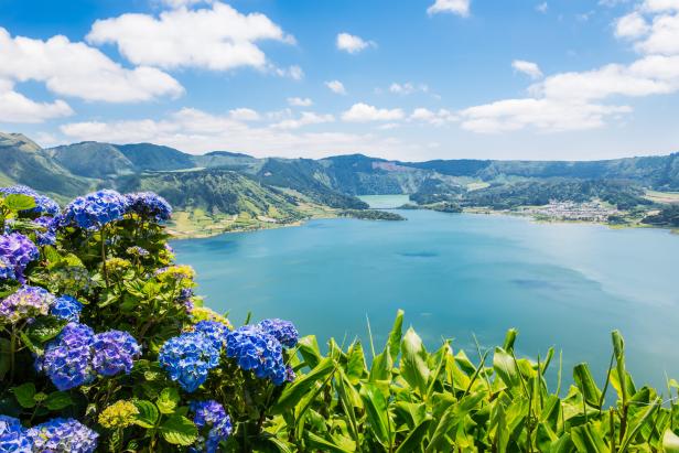 Blick auf den Lagoa das Sete Cidades See mit Hortensien im Vordergrund.