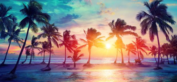 Palmen säumen einen Strand bei Sonnenuntergang.