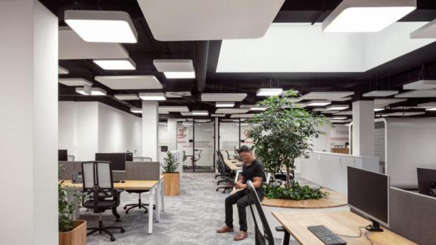 Ein Mann sitzt in einem modernen Büro mit Schreibtischen und Pflanzen.