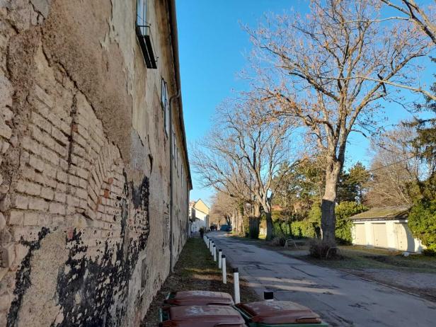 Eine Straße mit alten Gebäuden und Bäumen an einem sonnigen Tag.