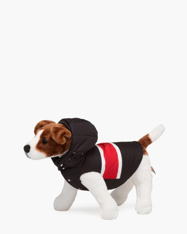 Ein Stoffhund trägt eine schwarze Jacke mit Kapuze und einem roten Streifen.