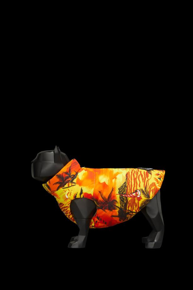 Eine schwarze Hundeattrappe trägt ein buntes Hemd mit Palmenmuster.