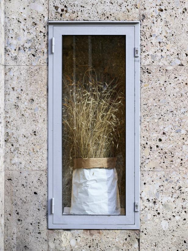 Ein Bündel getrocknetes Getreide in einer Papiertüte in einem grauen Fensterrahmen.