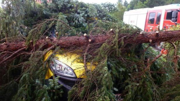 Umgestürzter Baum auf einem Pkw im Bereich Deutschlandsberg Monsun im Murtal, überflutete Keller im Burgenland