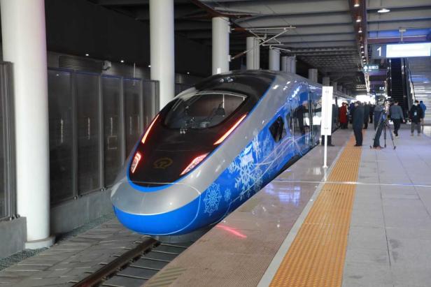 Ein blau-silberner Hochgeschwindigkeitszug mit Schneeflockenmuster steht an einem Bahnsteig.