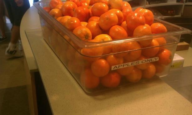 Ein durchsichtiger Behälter ist mit Mandarinen gefüllt, auf dem ein Aufkleber mit der Aufschrift „Apples Only“ klebt.